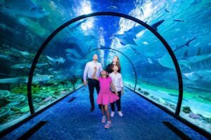 Visit South America's Largest Aquarium (1)