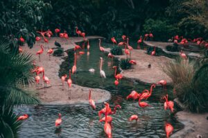 Zoológico de Barranquilla park
