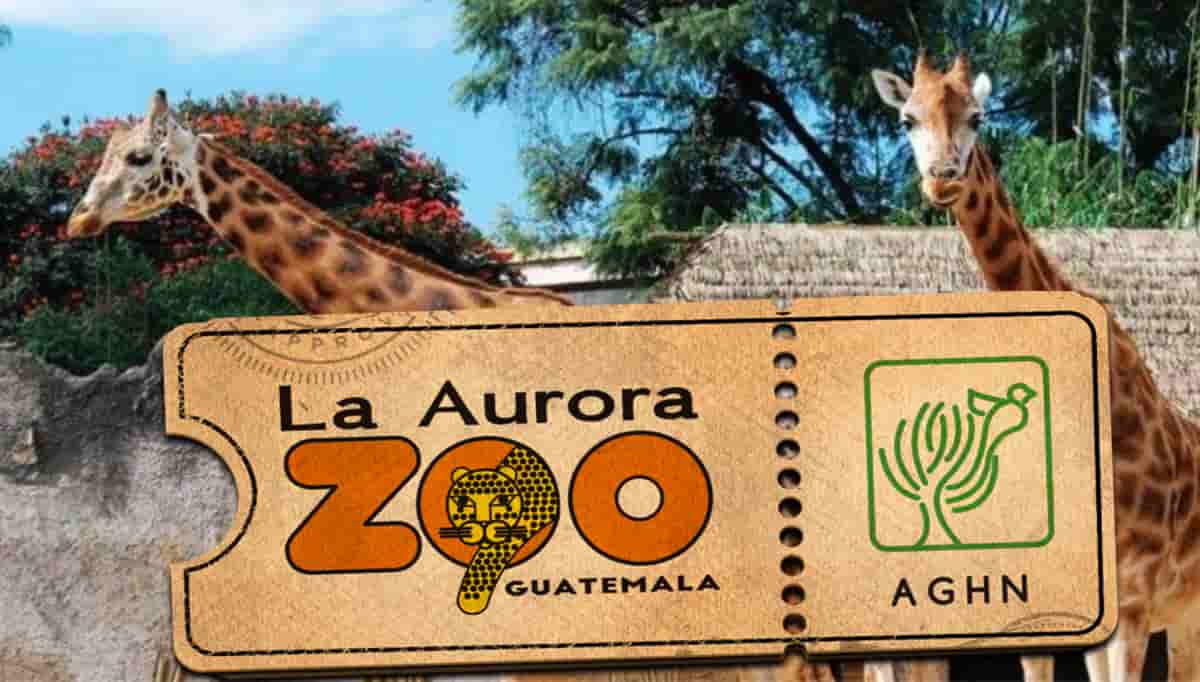 La Aurora Zoo Guatemala City (1)
