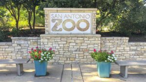 San antanio zoo (1)